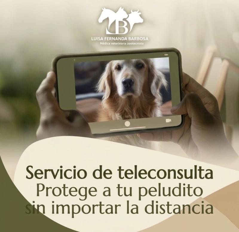 Dra.Luisa Barbosa  Médica veterinaria zootecnista